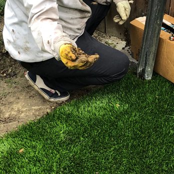All Pro Bee Removal - Pest Control Near Me