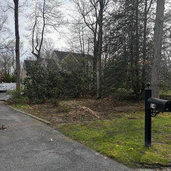 Fredy's Tree Services - Front view AFTER spruce removed - Tree Services Near Me - Mays Landing, New Jersey Fredy's Tree Services - Front view AFTER spruce removed - Tree Services Near Me - Mays Landing, New Jersey