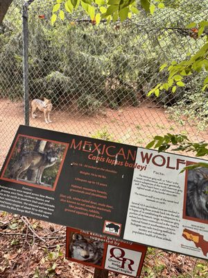 Connecticut's Beardsley Zoo by null
