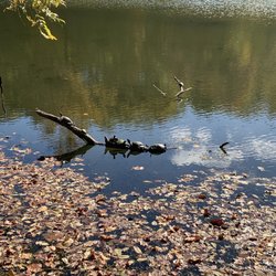 Lake Elkhorn Park