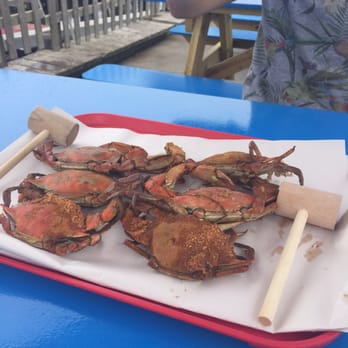 Hooked Up Seafood - live crab is the best crab - Seafood Near Me - Wildwood, New Jersey Hooked Up Seafood - live crab is the best crab - Seafood Near Me - Wildwood, New Jersey