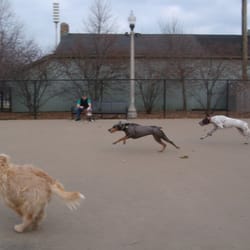 Grant Bark Park - Plenty of room to run.