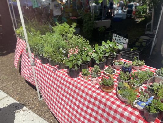 Wicker Park Farmers Market by null