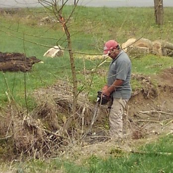 Marios Tree Care - Standing in the creek bed cutting the small tree sprouts - Tree Services Near Me - Shelbyville, Kentucky Marios Tree Care - Standing in the creek bed cutting the small tree sprouts - Tree Services Near Me - Shelbyville, Kentucky