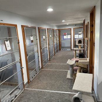Tee Emm's Kennels - Cat boarding area showing cat cages - Pet Sitting Near Me - Methuen, Massachusetts Tee Emm's Kennels - Cat boarding area showing cat cages - Pet Sitting Near Me - Methuen, Massachusetts