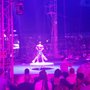 Photo of Universoul Circus