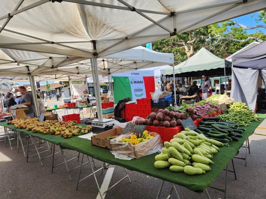 State Street Farmers Market by null