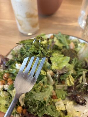 Life Alive Organic Cafe West End by null