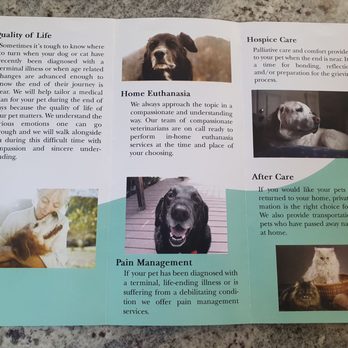 Gemcore Veterinary Services - Brochure side 1 - Veterinarians Near Me - Chatsworth, California