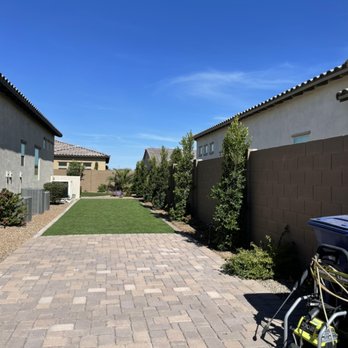 Greenscape Az - Install ficus trees - Landscaping Near Me