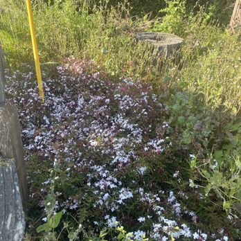 Mora’s Legacy Gardening - Gardeners Near Me Mora’s Legacy Gardening - Gardeners Near Me