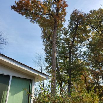 Beautiful Country Tree Service - Tree at the beginning - Tree Services Near Me - Gaithersburg, Maryland Beautiful Country Tree Service - Tree at the beginning - Tree Services Near Me - Gaithersburg, Maryland