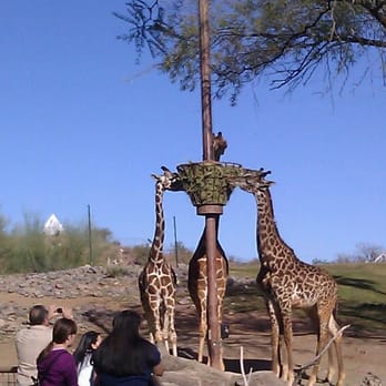 Phoenix Zoo - Zoos Near Me - Phoenix, Arizona Phoenix Zoo - Zoos Near Me - Phoenix, Arizona