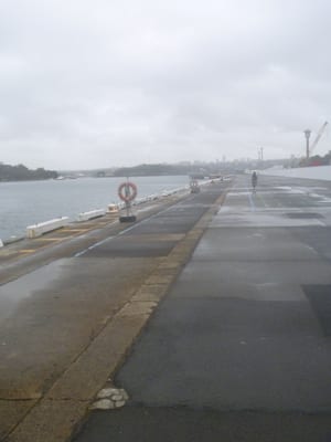 Barangaroo Reserve by null