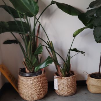 Coffee Code - Coffee & Tea Near Me - Norwalk, California
