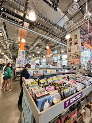 Amoeba Music by null