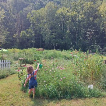 A New Leaf - Preschools Near Me - Nashville, Tennessee A New Leaf - Preschools Near Me - Nashville, Tennessee