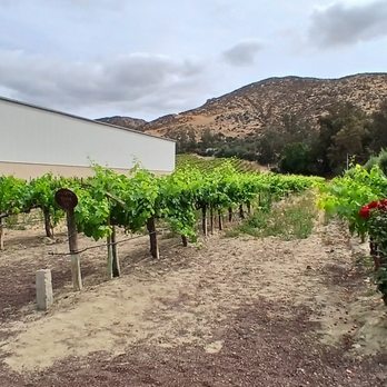 Cali-Baja Tours - Bus Tours Near Me - Ensenada, BCN