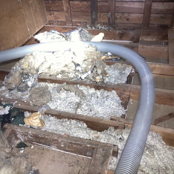 Attic Cleaning Services - Insulation Installation Near Me