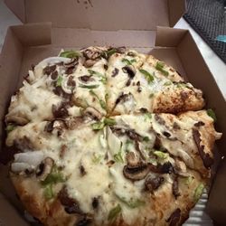 Domino's Pizza - Almost NO STEAK on my Philly cheeseSTEAK pizza - after waiting almost an extra hour you couldn't cook it right?