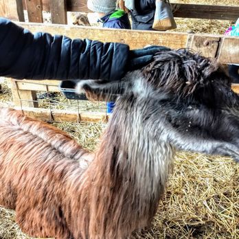 Stratford Ecological Center - Get your goat! - Farms Near Me - Delaware, Ohio Stratford Ecological Center - Get your goat! - Farms Near Me - Delaware, Ohio