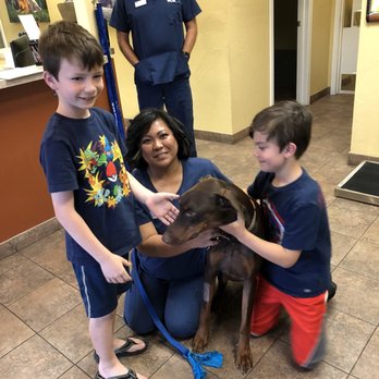 vca mccormick animal hospital