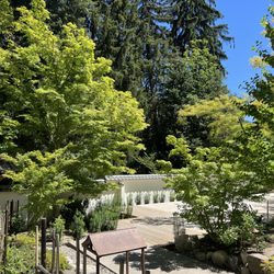Lithia Park