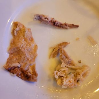 Shore House Bar & Grill - Clockwise, bone, fat, skin from my so called chicken & Pasta entrée. It only has 2 pcs of chicken!! - Cocktail Bars Near Me - Long Beach, New York Shore House Bar & Grill - Clockwise, bone, fat, skin from my so called chicken & Pasta entrée. It only has 2 pcs of chicken!! - Cocktail Bars Near Me - Long Beach, New York