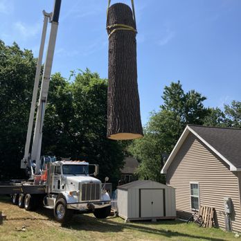 CTI Tree Service - Tree Services Near Me