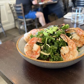 Havana - Kale Salad - Cuban Near Me - Walnut Creek, California Havana - Kale Salad - Cuban Near Me - Walnut Creek, California
