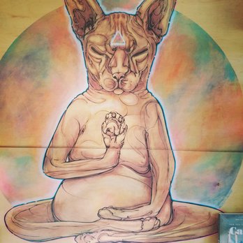 KitTea - Great place if you love Felines - Pet Adoption Near Me - San Francisco, California