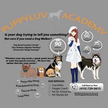PuppyLuv Academy - PuppyLuvAcademy - Dog Walker flyer - Pet Training Near Me PuppyLuv Academy - PuppyLuvAcademy - Dog Walker flyer - Pet Training Near Me