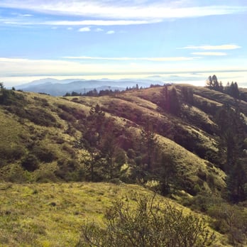 Coastal Trail Runs - Steep Ravine Trail Run - Races & Competitions Near Me - Walnut Creek, California Coastal Trail Runs - Steep Ravine Trail Run - Races & Competitions Near Me - Walnut Creek, California