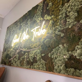 Tribe Yoga Studio - Yoga Near Me - Maitland, Florida