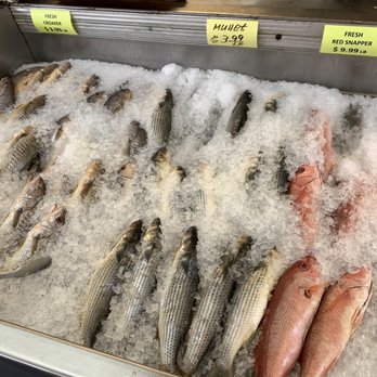 Island Seafood - Look at that red snapper - Seafood Near Me - Augusta, Georgia