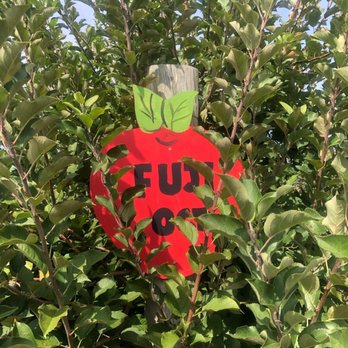 Johnson's Corner Farm - Apple sign - Fruits & Veggies Near Me - Medford, New Jersey