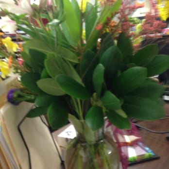 Creedon's Flower Shop - Creedon's Flowers 2013. :-( - Florists Near Me - Roaring Brook, Pennsylvania Creedon's Flower Shop - Creedon's Flowers 2013. :-( - Florists Near Me - Roaring Brook, Pennsylvania