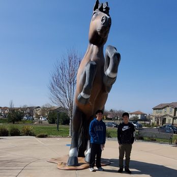 Valley Oak Park - Parks Near Me - Sacramento, California Valley Oak Park - Parks Near Me - Sacramento, California
