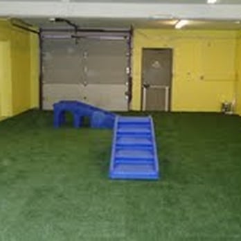 Puppywood - Montgomery - Anderson - Pet Sitting Near Me - Montgomery, Ohio Puppywood - Montgomery - Anderson - Pet Sitting Near Me - Montgomery, Ohio