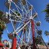 California Avocado Festival gift card