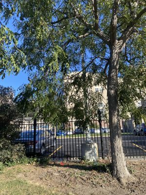 Memorial Stadium by null