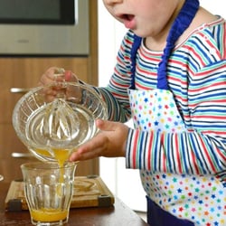 Little Blossom Montessori School