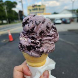 The Inside Scoop