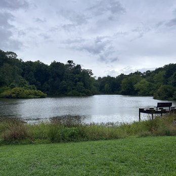 York River State Park - Pond "Labyrinth" - Parks Near Me - Williamsburg, Virginia