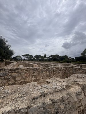 Castello di Donnafugata by null