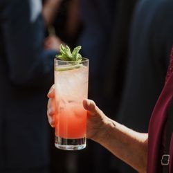 Carrie Dove Catering & Events - Raspberry specialty cocktail