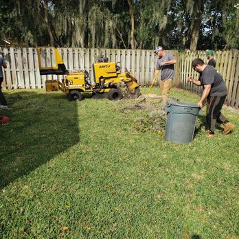 Southern Tree Experts - stump grind - Tree Services Near Me - Middleburg, Florida