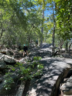 Tallulah Gorge State Park by null