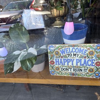 My Little Posy - Florists Near Me My Little Posy - Florists Near Me