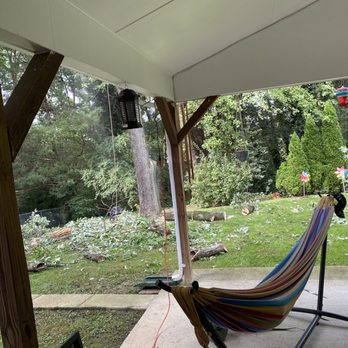 R&R Tree Service - Tree Services Near Me - Manassas, Virginia R&R Tree Service - Tree Services Near Me - Manassas, Virginia